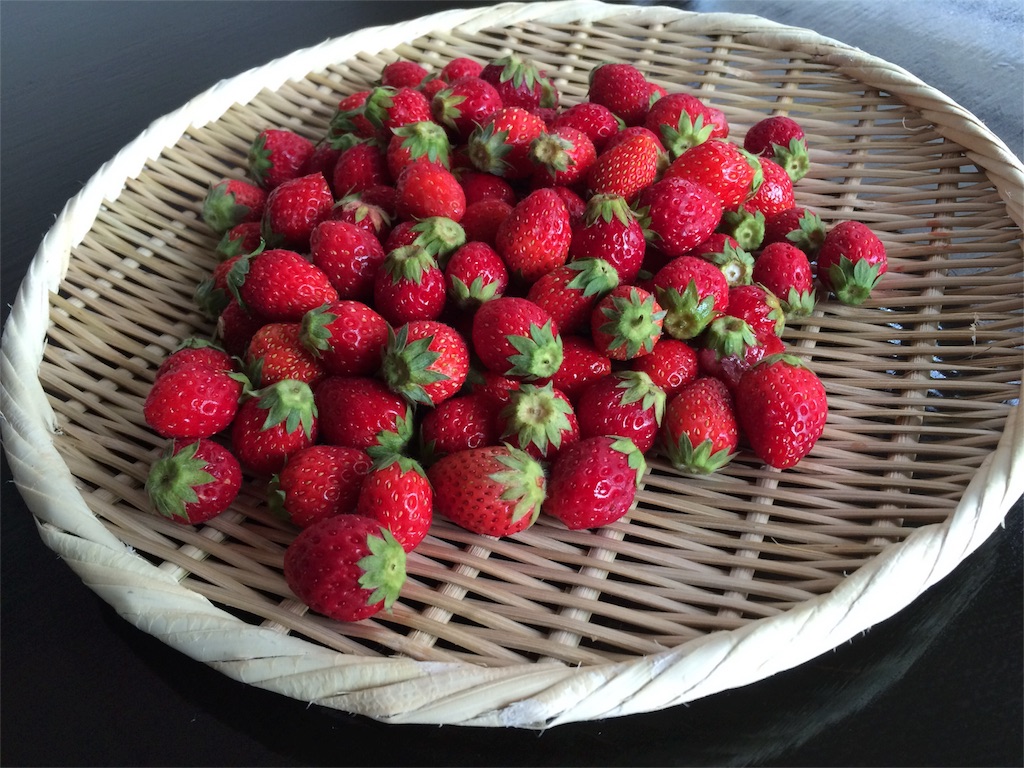 f:id:econaseikatsu:20160422204744j:image f:id:econaseikatsu:20160422204744j:image