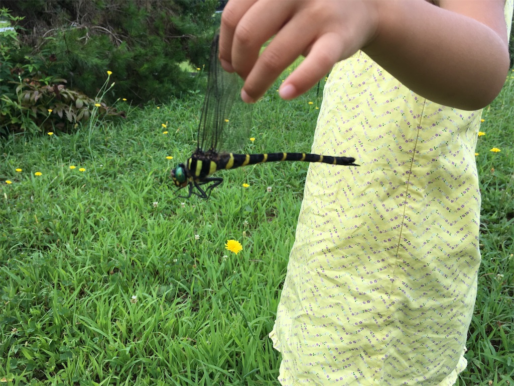 f:id:econaseikatsu:20160814094219j:image f:id:econaseikatsu:20160814094219j:image