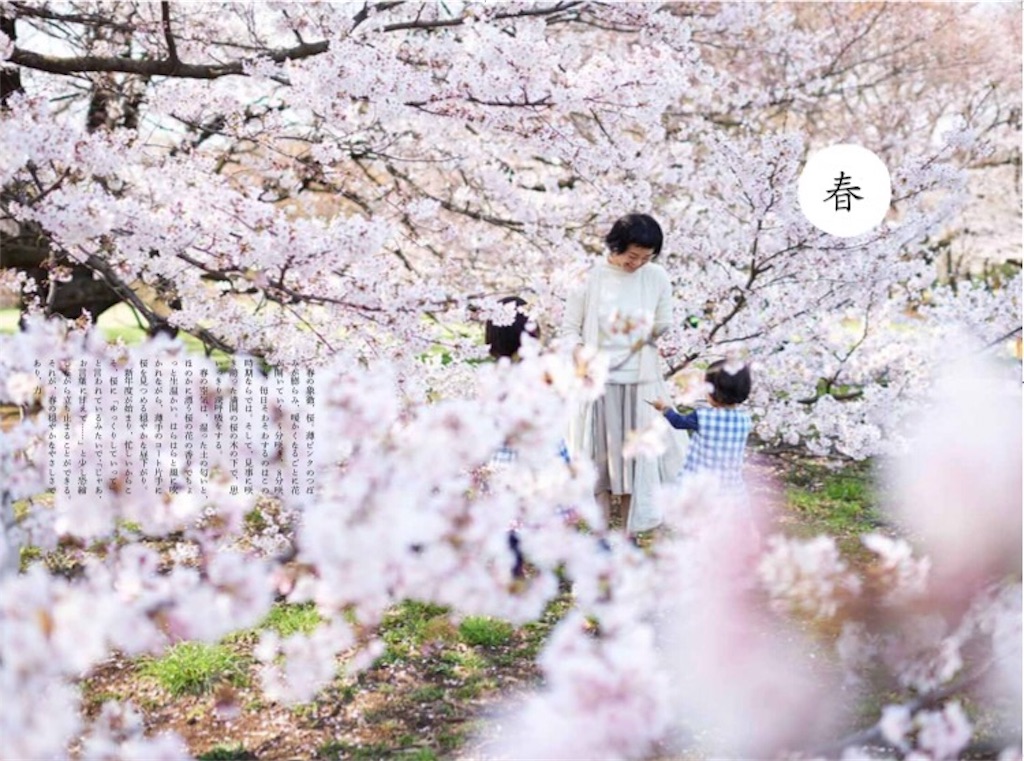 f:id:econaseikatsu:20170405092056j:image f:id:econaseikatsu:20170405092056j:image