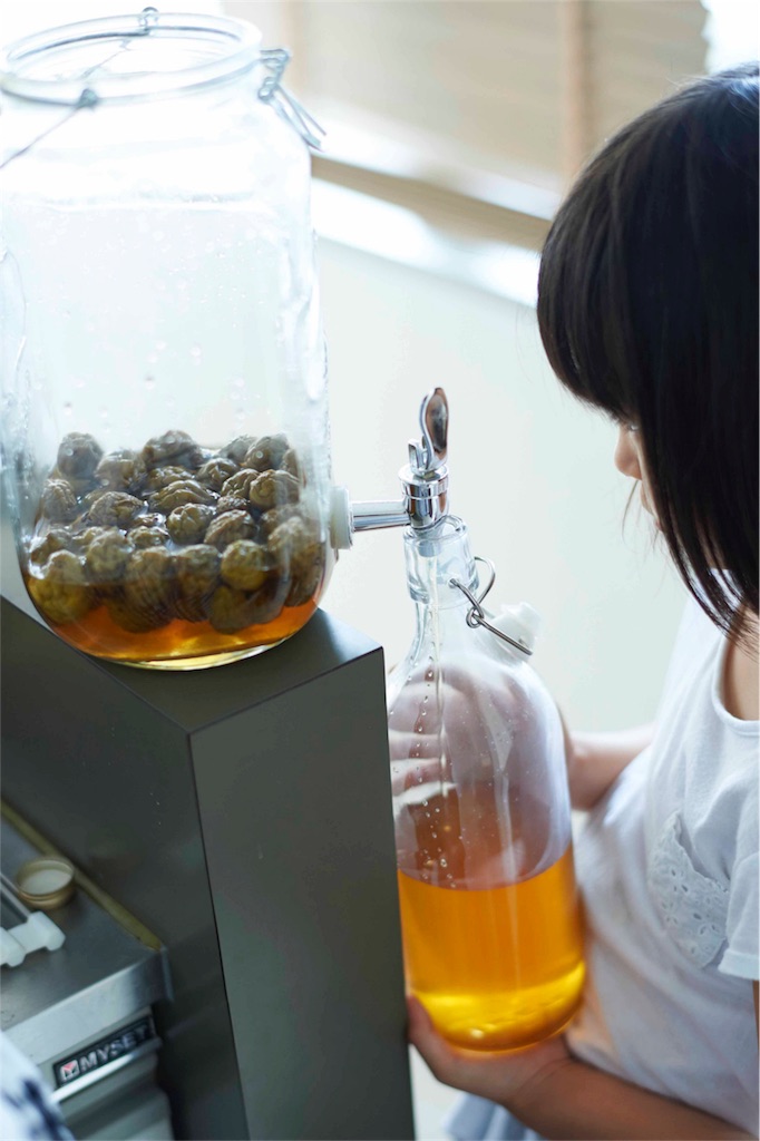 f:id:econaseikatsu:20170602163837j:image f:id:econaseikatsu:20170602163837j:image