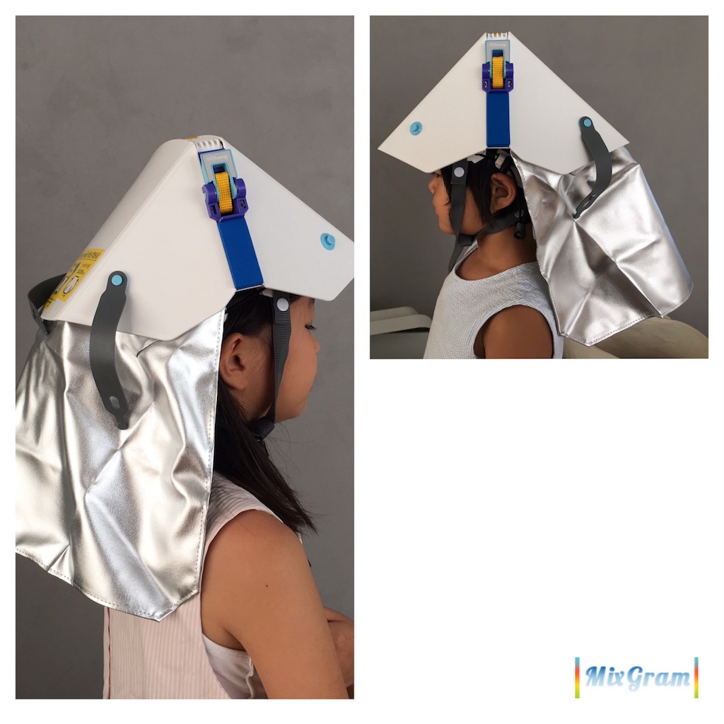 f:id:econaseikatsu:20170916085346j:image f:id:econaseikatsu:20170916085346j:image